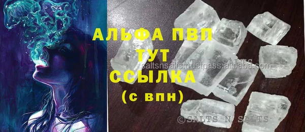 прущий лед Алзамай
