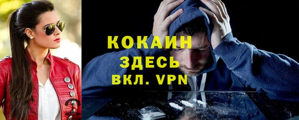 соль ск Алексин