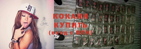 соль ск Алексин